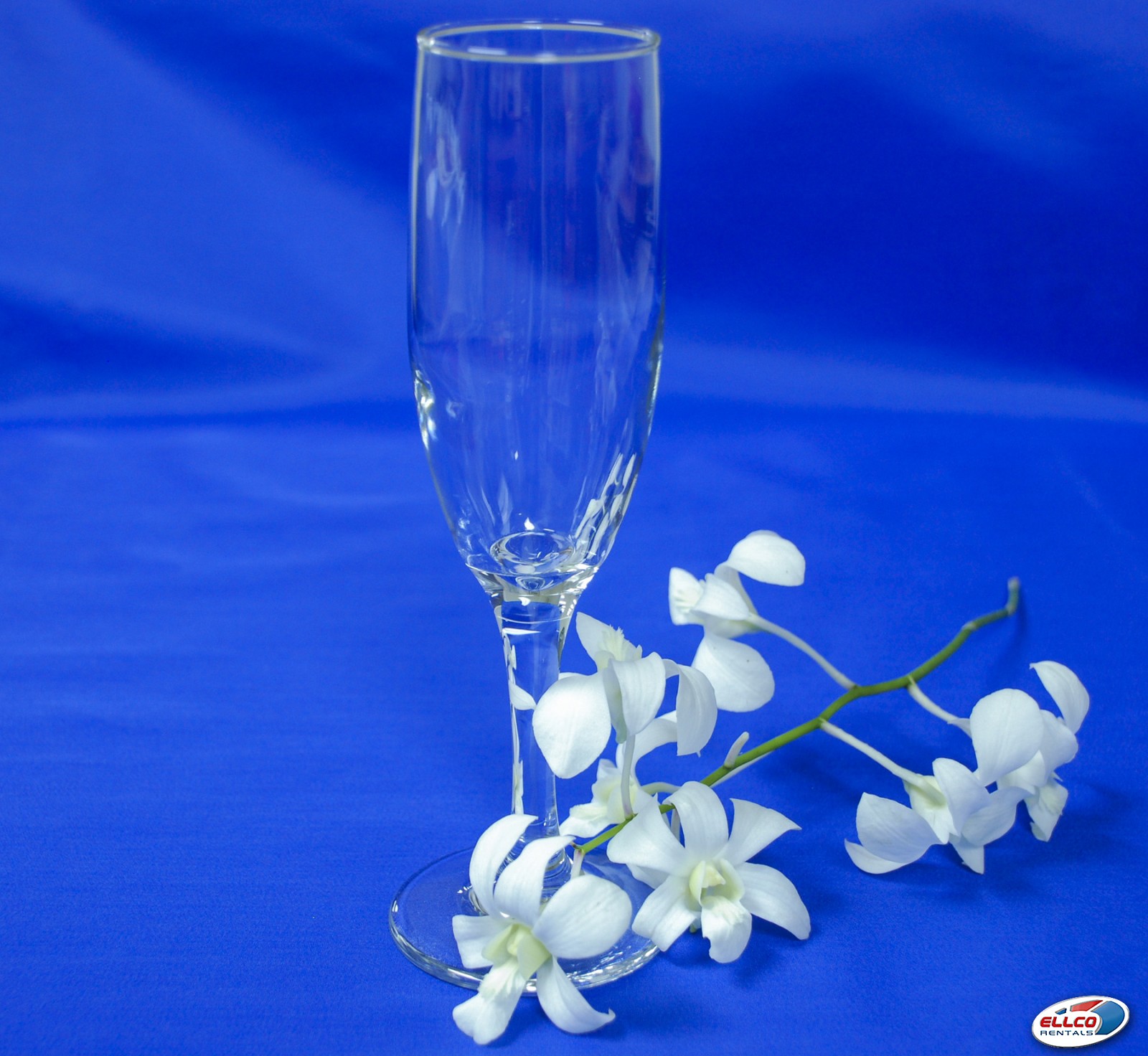 Champagne Flute Glass 6Oz in at Ellco Rentals event equipment